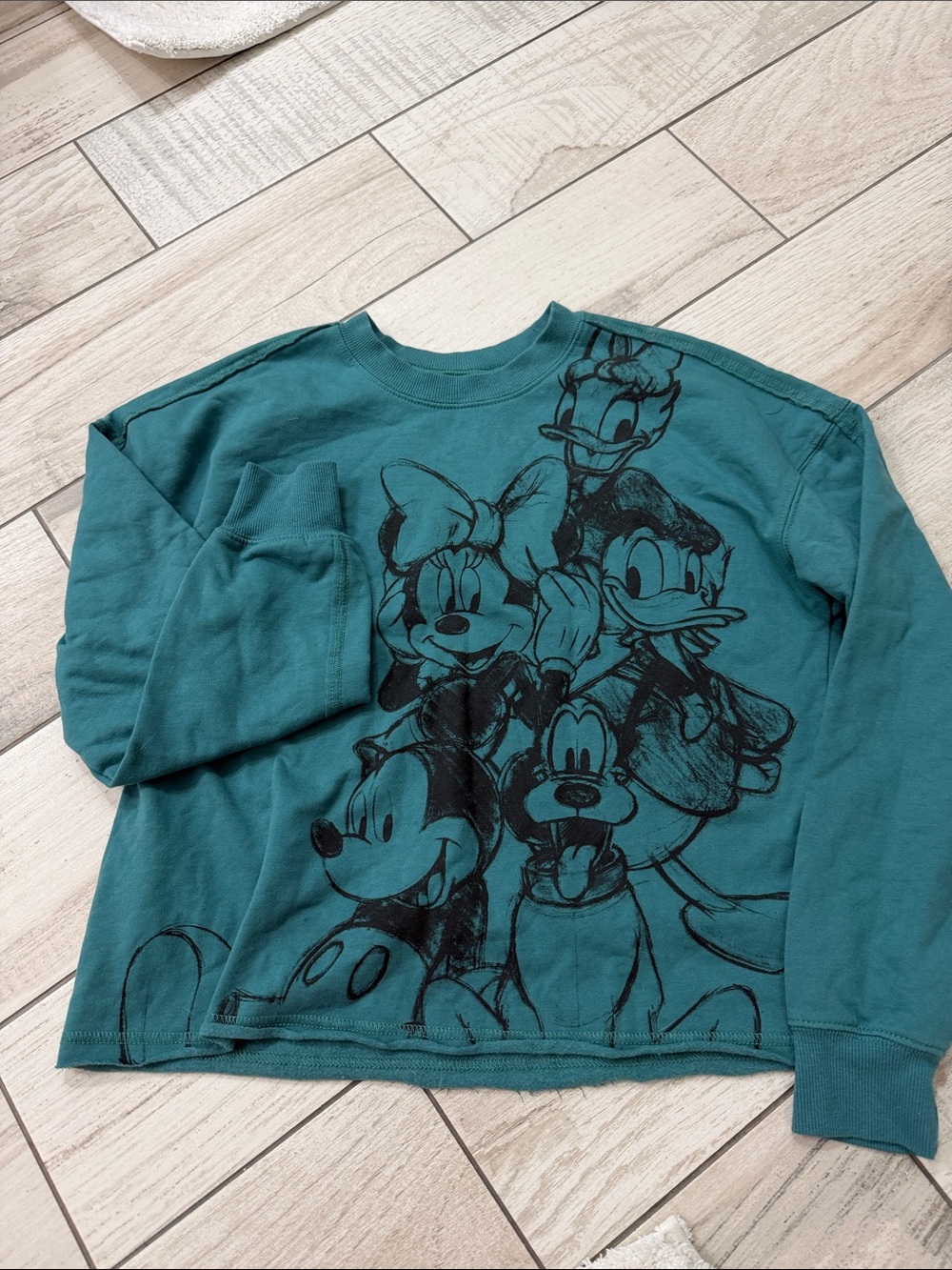Disney Teal "Mickey and Friends" Pullover